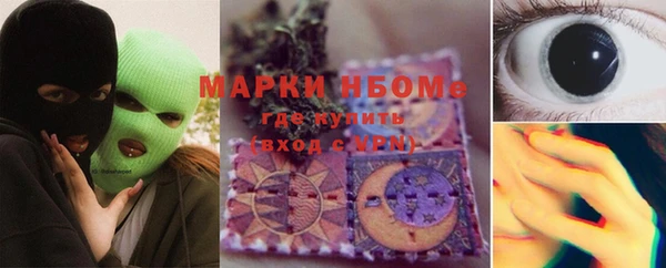 шишки Новозыбков