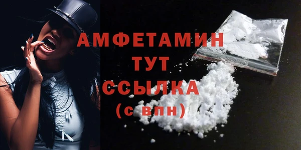 шишки Новозыбков