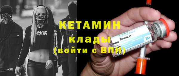 шишки Новозыбков