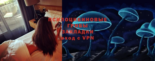 шишки Новозыбков