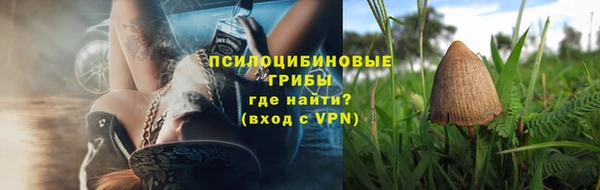 шишки Новозыбков