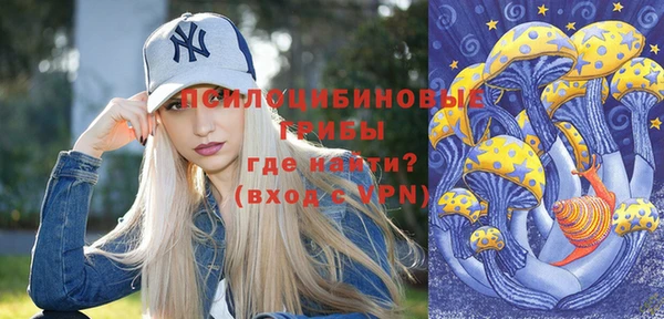 шишки Новозыбков