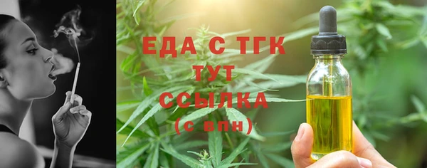 шишки Новозыбков