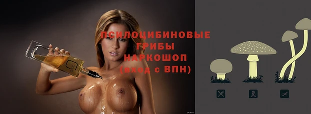 шишки Новозыбков