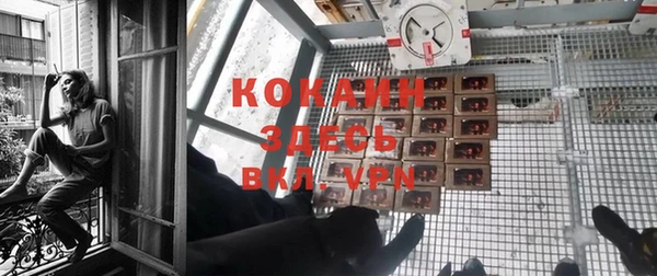 эйфоретик Новодвинск