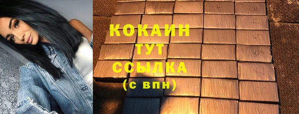 шишки Новозыбков