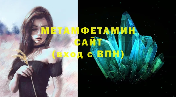 шишки Новозыбков