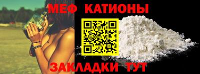прущие грибы Гатчина