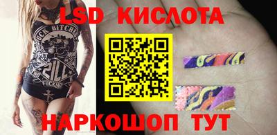 прущие грибы Гатчина