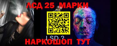 прущие грибы Гатчина