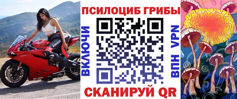 Галлюциногенные грибы мицелий  наркотики  Саров 