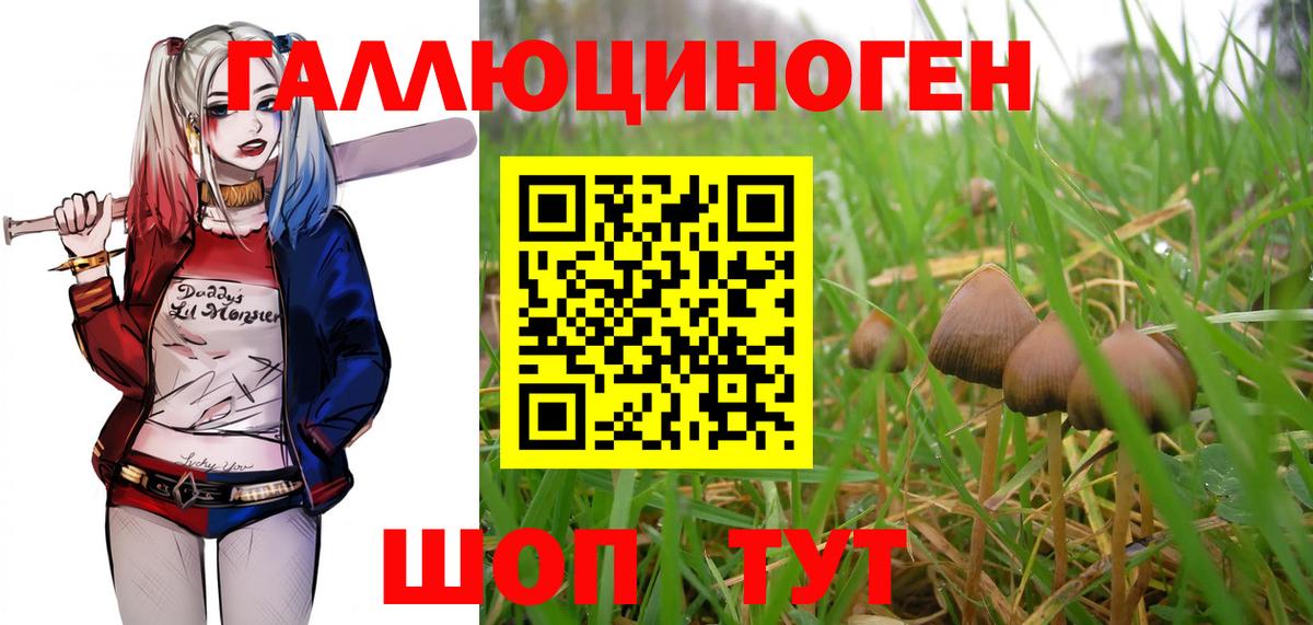 Галлюциногенные грибы Magic Shrooms Саров