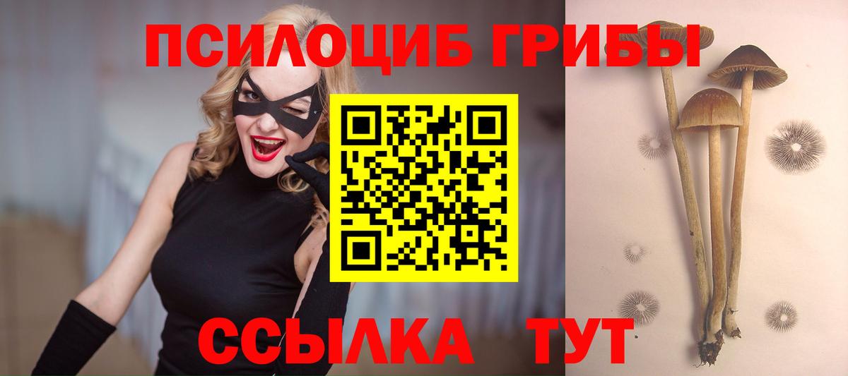 Галлюциногенные грибы Cubensis  Вход с VPN  Саров  Галлюциногенные грибы Psilocybe 