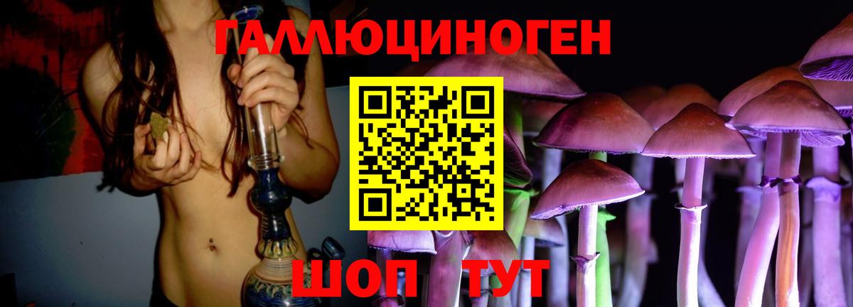 Псилоцибиновые грибы Psilocybe  купить наркоту  Саров 