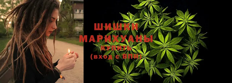 мориарти официальный сайт  блэк спрут   Саров  Марихуана конопля 