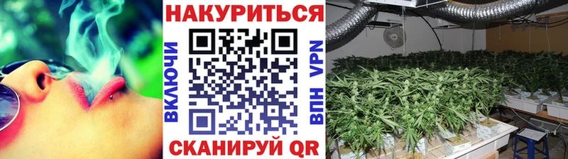 Шишки марихуана MAZAR  купить закладку  Саров 